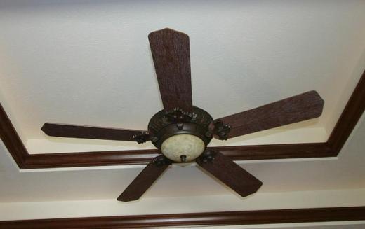 fan.jpg